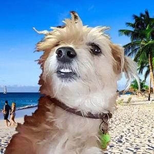 Meet your Posher, Stacy